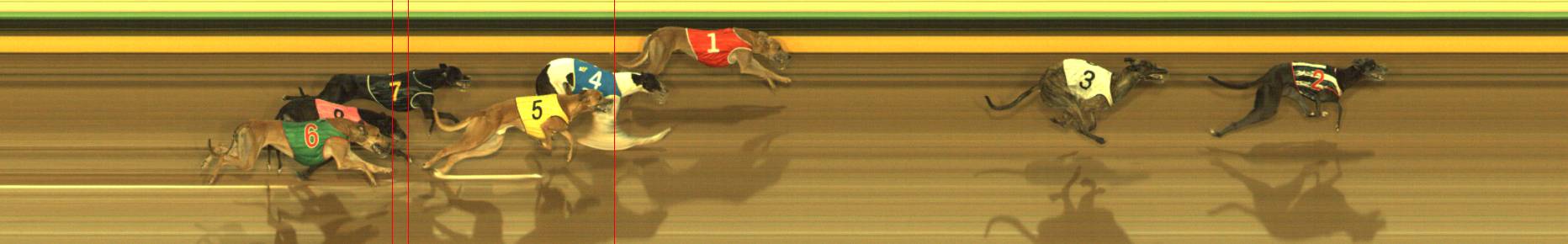 Race result finish photo